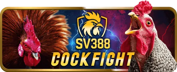Cá cược thể thao 88qq app